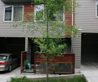 19-dolph-creek-townhomes-img_0871-wm