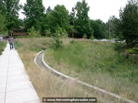 29-surface-drain-into-top-of-triangle-lot-img_0848-wm
