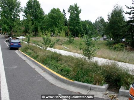 30-curb-cuts-to-triangle-lot-row-img_0852-wm
