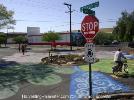 Water-harvesting traffic calming