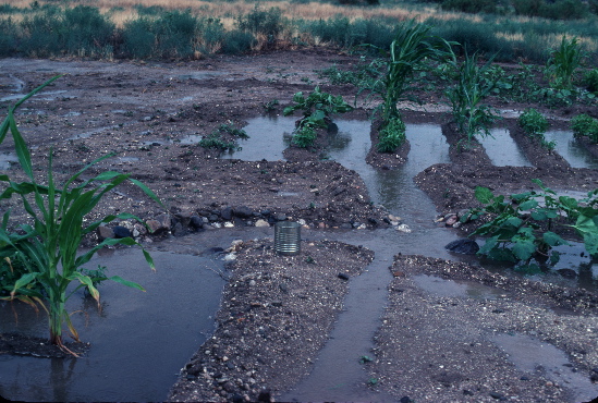 5-fielddiversionwater