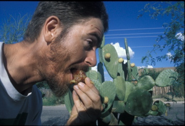 1126-rainfedcactusfruit Enjoying rain-irrigated, neighborhood-grown cactus fruit.