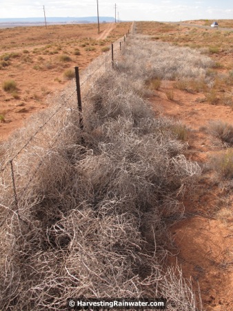Tumbleweed-Harvesting Fence IMG_2275 rwm