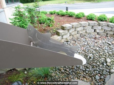 03-img_9768-trout-downspout-rwm
