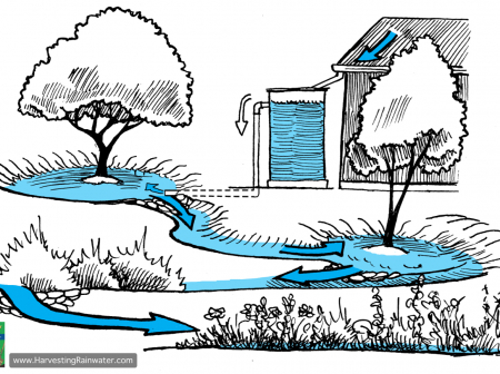 V1+2 1.17 COLOR rwm2