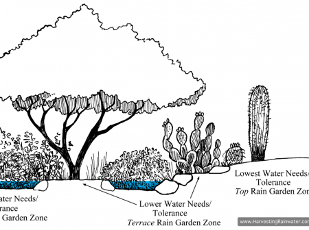 V1+2 3.30 1 COLOR rwm2