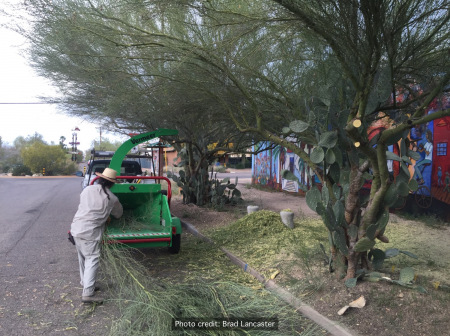 11 Omar chipping prunings into mulch 2016 rwm