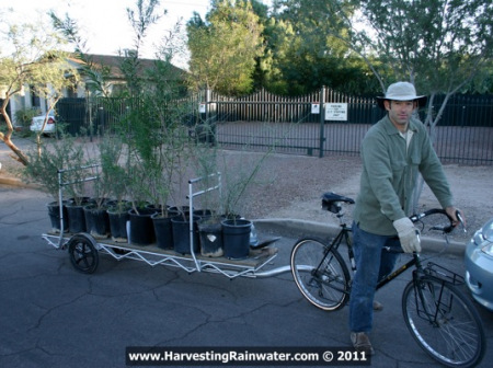 13-bike-trailer-kevin-and-trees-wm
