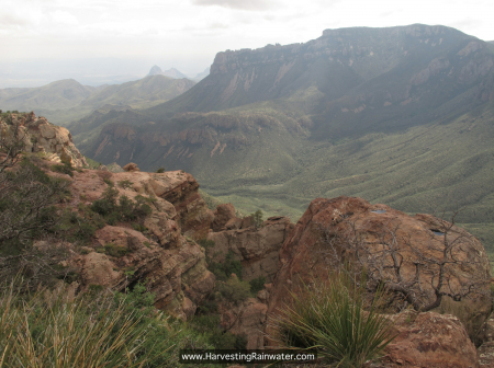 20 Big Bend Ridgetop IMG_6471 rwm