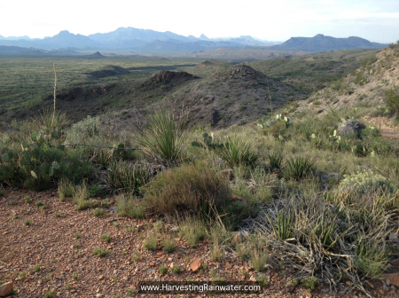 22 Big Bend hike IMG_1988 rwm