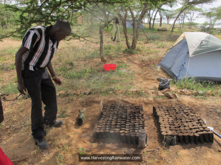 7 on-site nursery IMG_7775 rwm