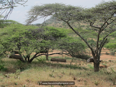 8 bee hives IMG_7766 rwm