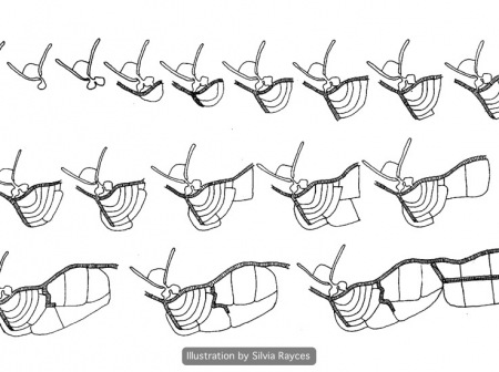 1-evolutionofrussfarm-wm