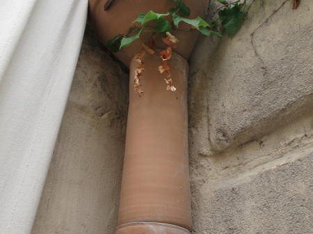 2-terra-cotta-scupper-and-downspout-img_4581-wm