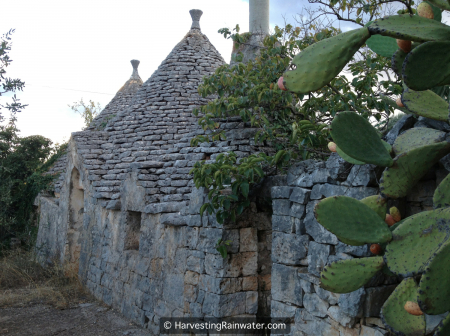 22-trullo-and-nopal-img_0914-wm