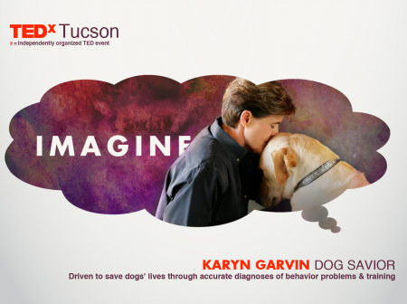 ad-tedx-speaker-karyn-garvin1