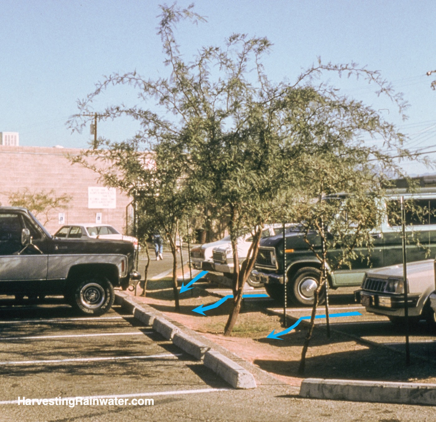 Parking Lot to Parking Orchard Rainwater Harvesting for Drylands and