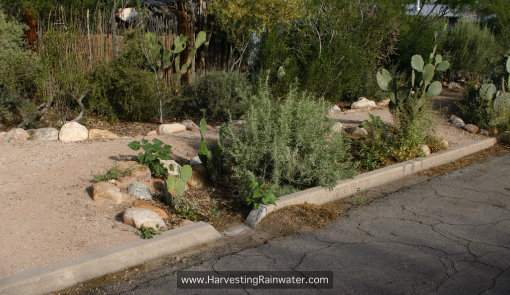 Fig. 6. Finished curb cut and basin. Gravel and other sediment shoveled from street-curb gutter (on the upstream side of the curb cut) is placed on the downstream side of curb cut to help direct more flow into the basin. See “Important Elevation and Slope Relationships” in chapter 8 for how this basin could be improved.