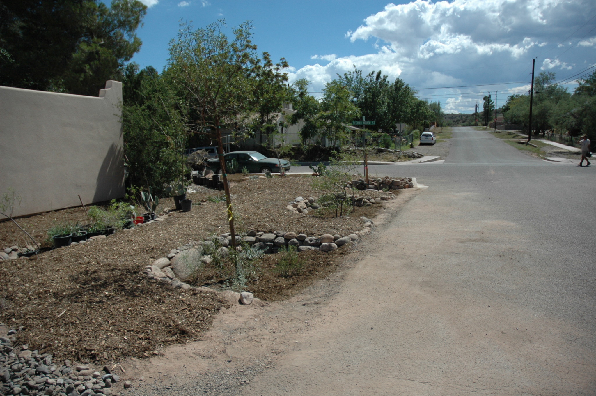 Figure 2. Water-harvesting eddy basins created by Eden on Earth on a curbless street in Clarkdale, Arizona. Before the work, road runoff would flow up against and flood the house. After the work, the dirt dug from the street-side basins created a raised walkway that acts as a berm ensuring no basin water or street runoff can flow up against the house. Before the work, there was no walkway; now there is a wonderful path wide enough for two people to walk side by side, separated by the trees from cars and street. Now the trees have grown to shade both walkway and street. Photo taken by Carol Luhman just after the work was completed in 2007.