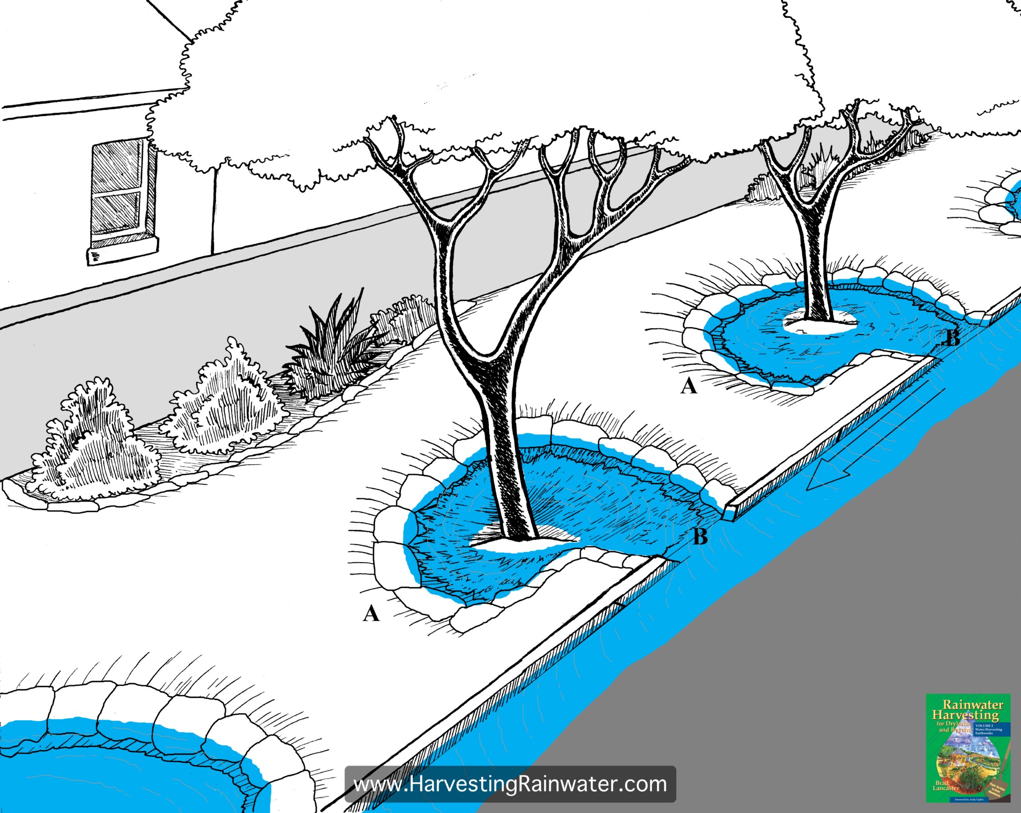 Fig. 1. Eddy or backwater basins. The upper edge of the farthest-downstream section of the basin (A) must be higher (ideally at least 4 inches [10 cm] higher) than the basin’s curb-cut, or curb-core, inlet (B) to ensure pooling water calmly backs up to the inlet. Arrow denotes water flow.