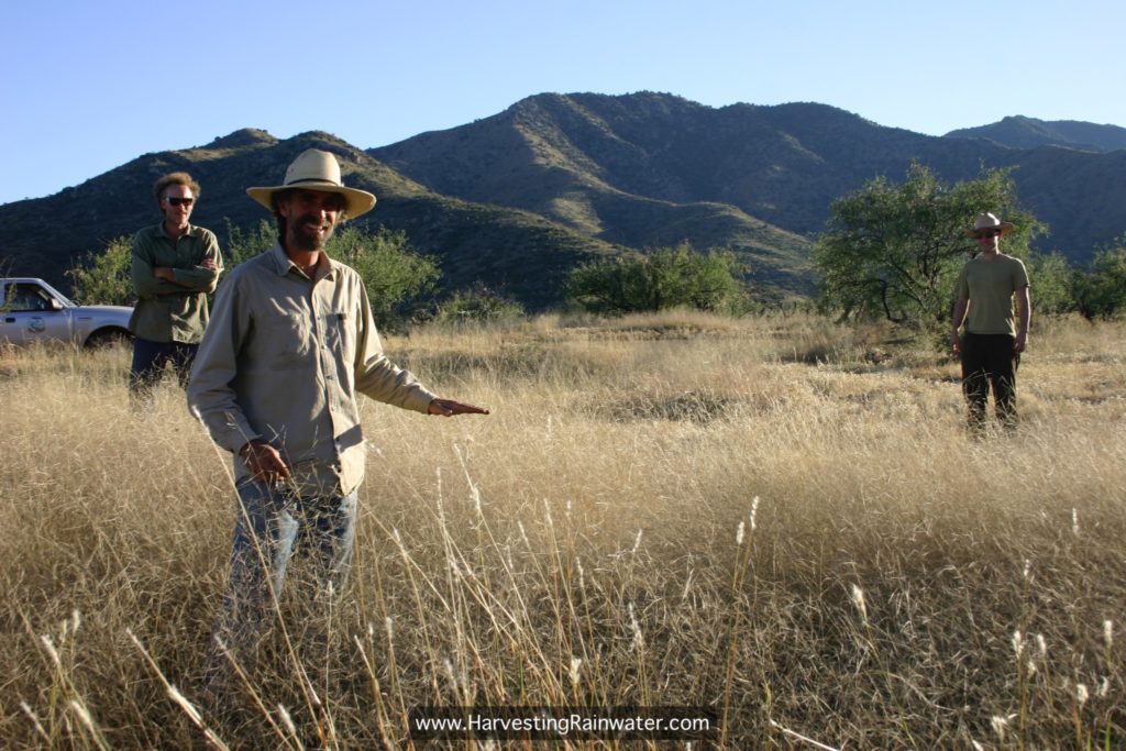 9-grass-watered-by-rolling-dip-runoff-img_8151-wm