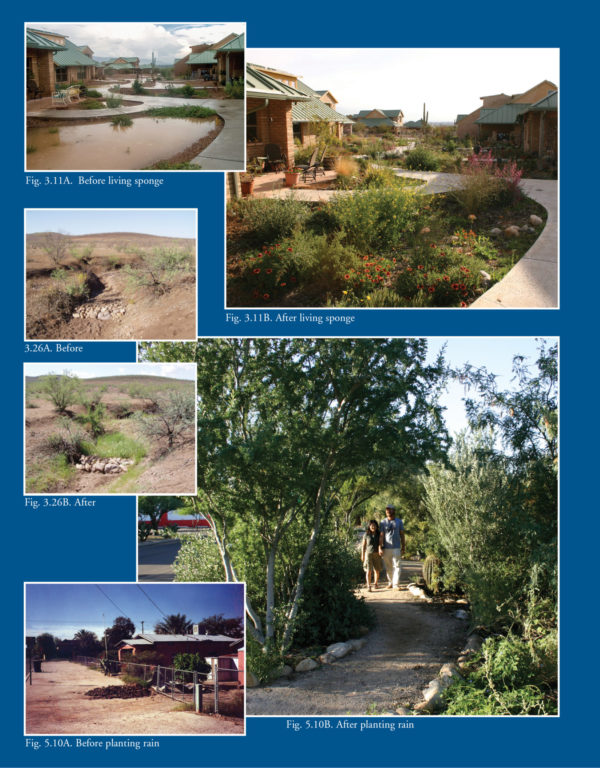 Rainwater Harvesting for Drylands Volumes 1 & 2 BUNDLE (NEW editions for 2019) — Direct from, and signed by, author - Image 4