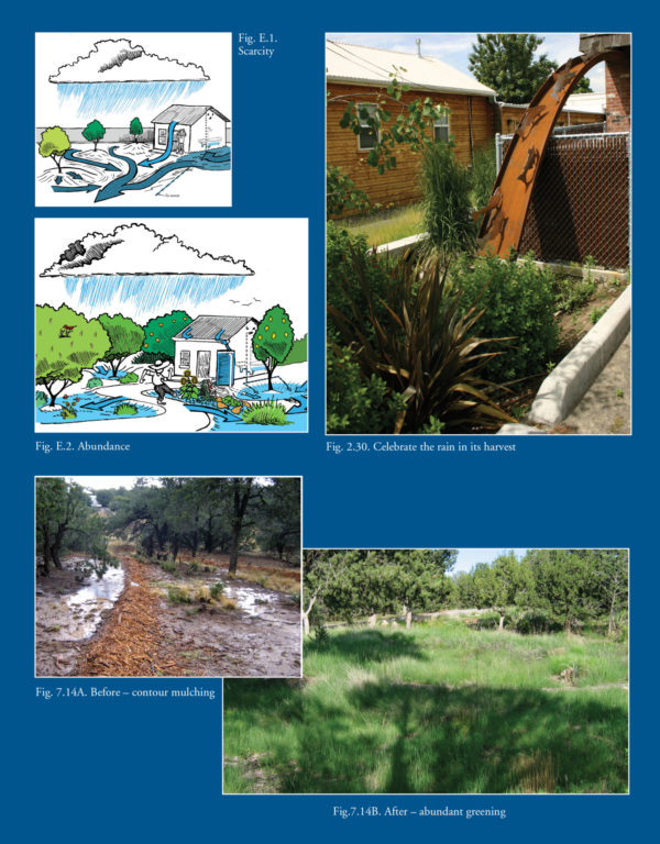 Rainwater Harvesting for Drylands Volumes 1 & 2 BUNDLE (NEW editions for 2019) — Direct from, and signed by, author - Image 6