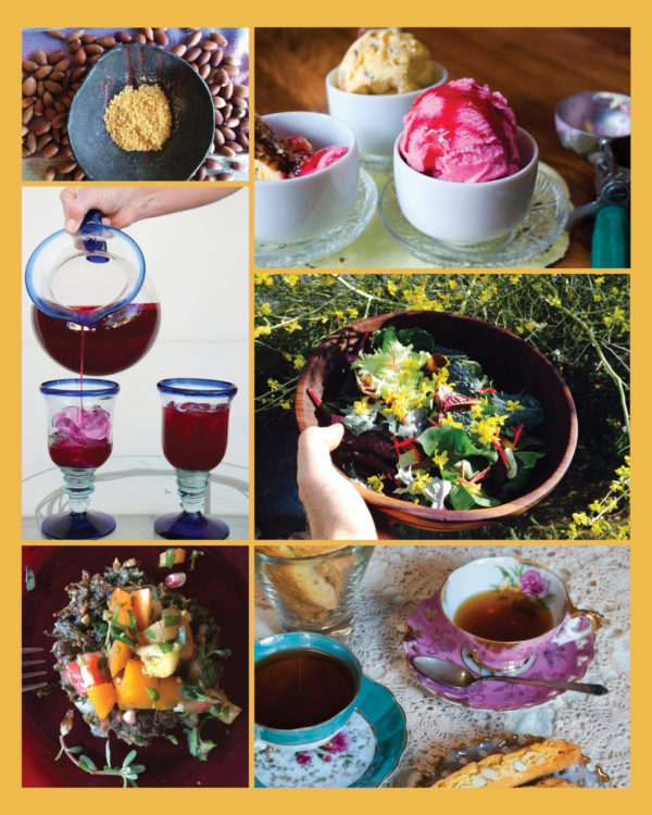 Eat Mesquite and More: A Cookbook for Sonoran Desert Foods and Living by Desert Harvesters - Image 4