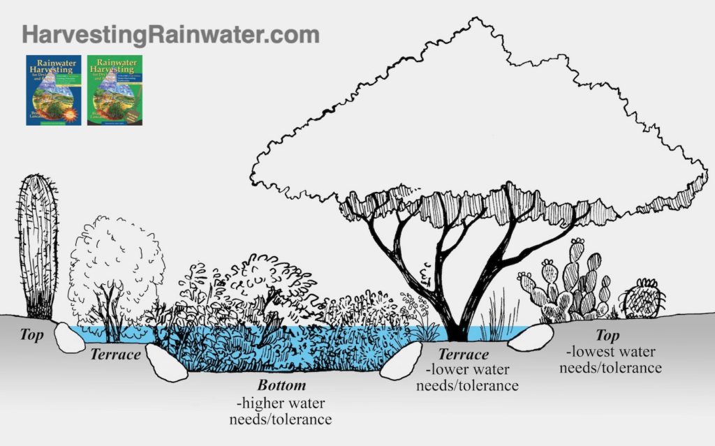 Récoltes de différentes eaux. 11.12C-rain-garden-zones-terrace-filled-REDUCED-and-WATERMARKED-1024x639