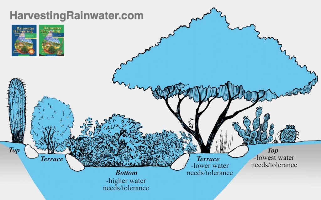 Récoltes de différentes eaux. 11.12D-rain-garden-zones-soil-and-vegetation-saturated-REDUCED-and-WATERMARKED-1024x639