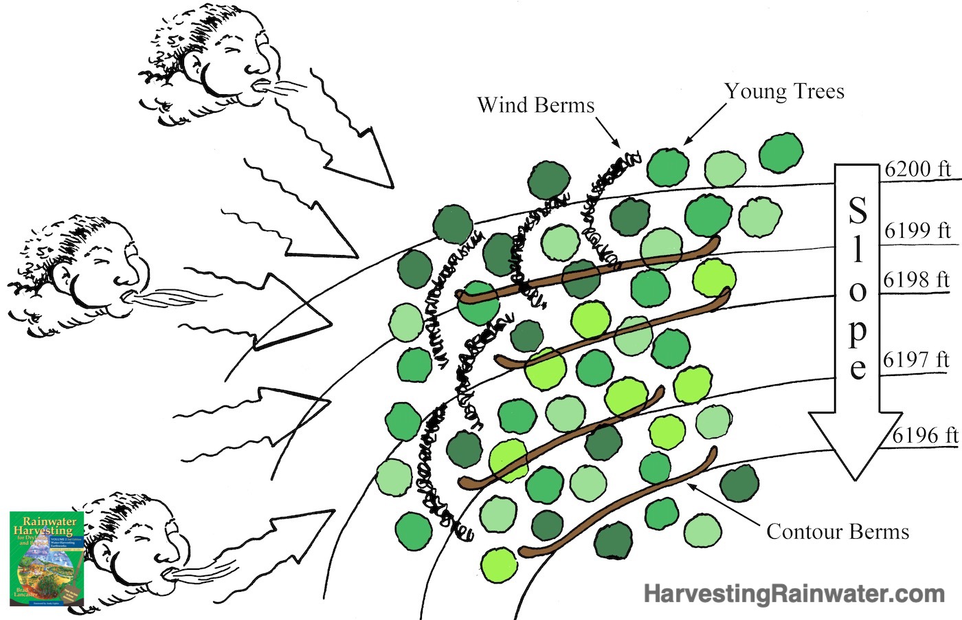 rainwater harvesting case study questions