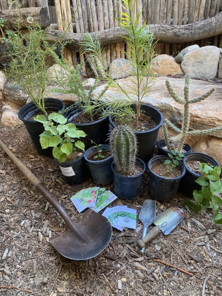 Garden Planting Calendar For Tucson And