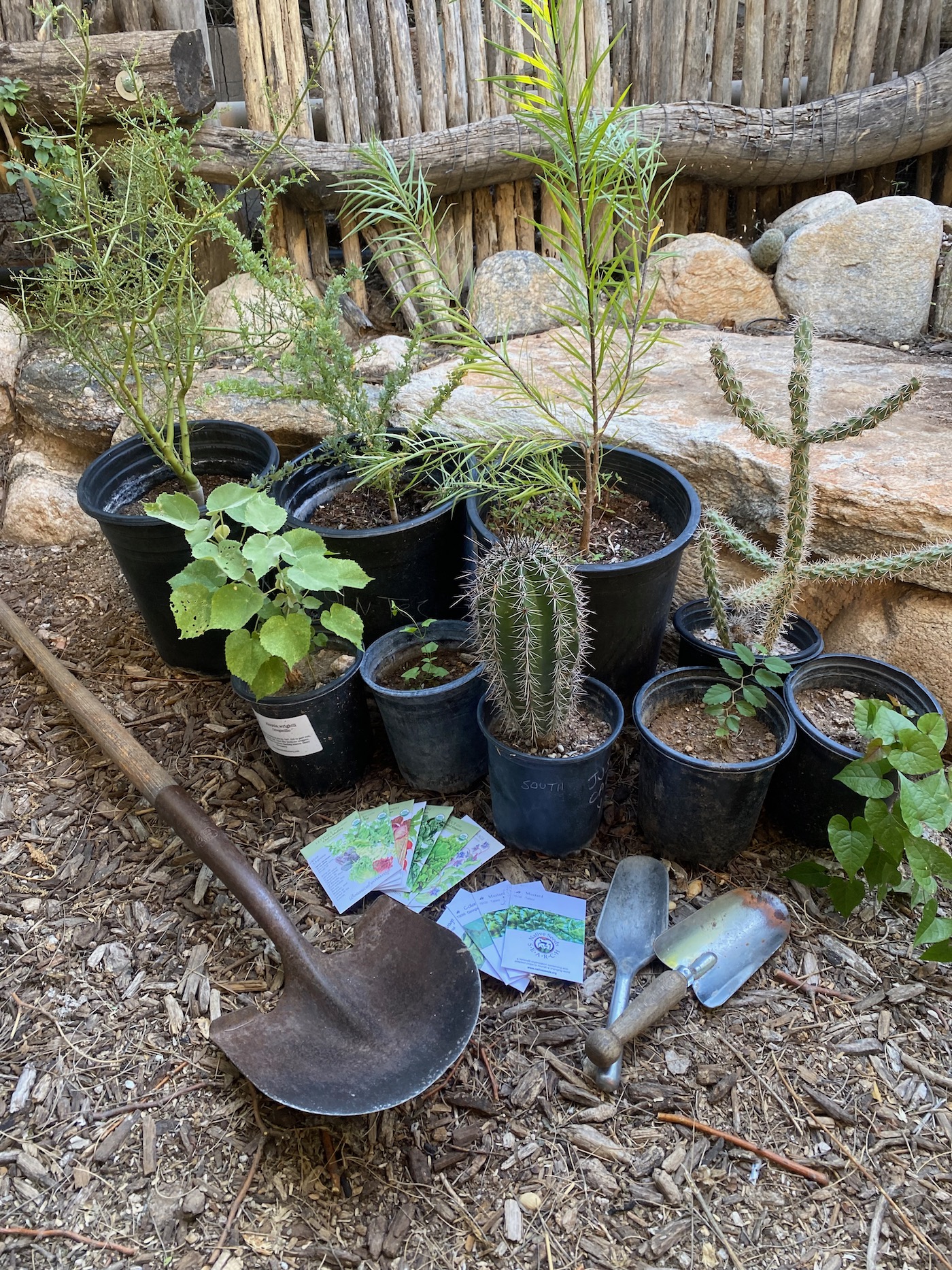 Garden planting Calendar For Tucson And The Sonoran Desert Rainwater 