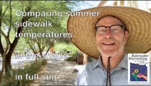 Thumbnail image for Comparing Summer Sidewalk Temperatures in the Shade vs in Full Sun video