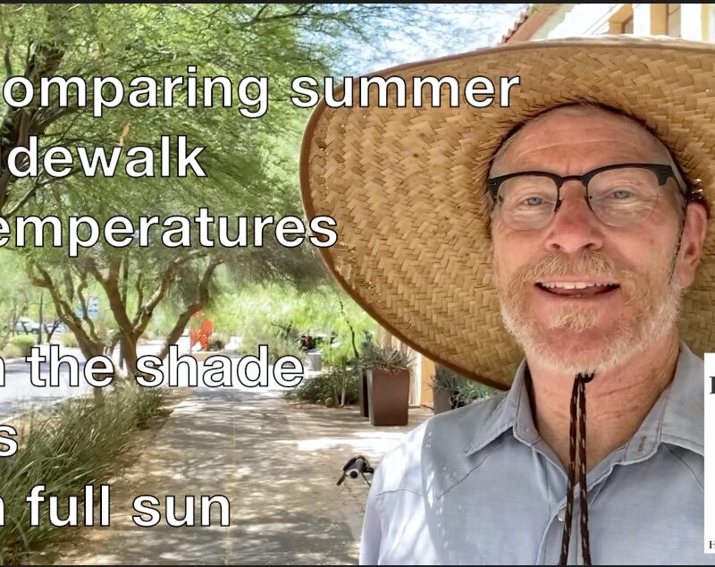 Thumbnail image for Comparing Summer Sidewalk Temperatures in the Shade vs in Full Sun video