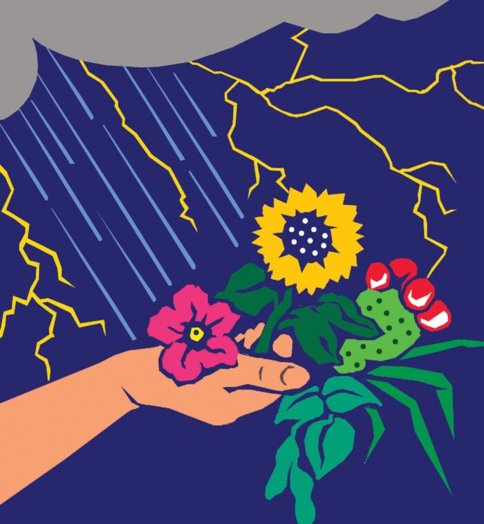 Plant the rain to grow abundance logo