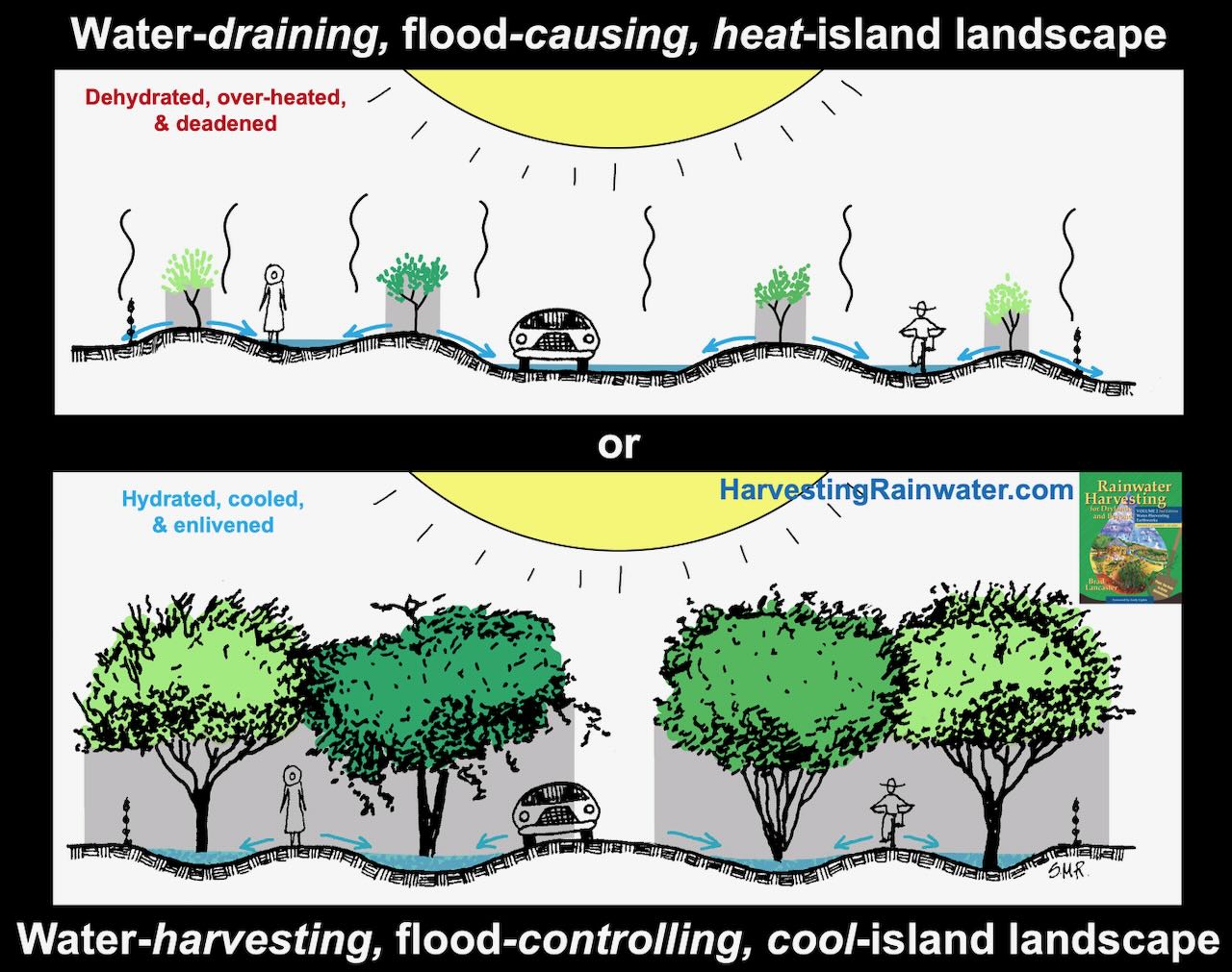 Cool & Functional: Transform Hot, Dry Landscapes Now!