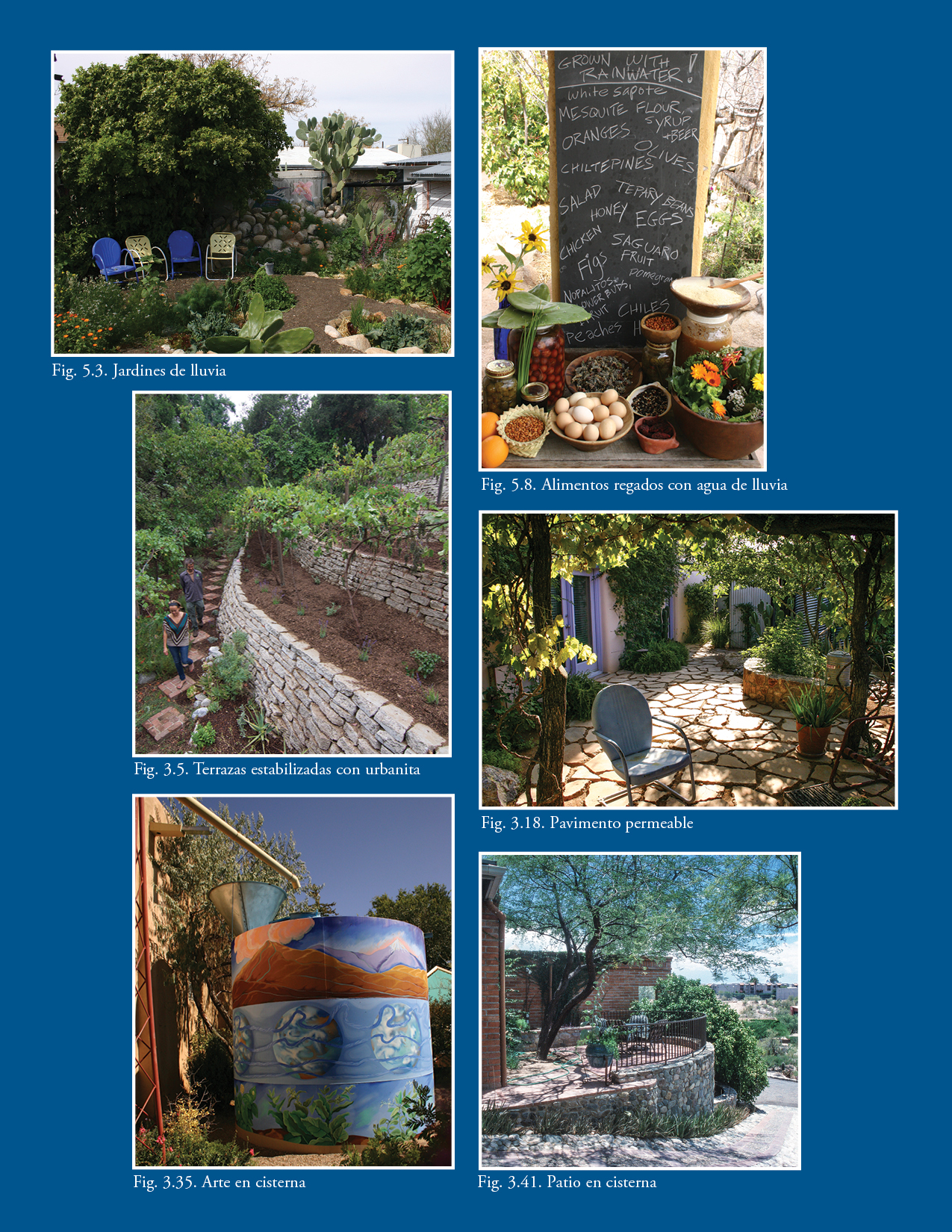 Cosecha de agua de lluvia para zonas áridas y más allá, Volumen 1 (NUEVO en 2025) — Directo del autor y firmado por él - Image 3