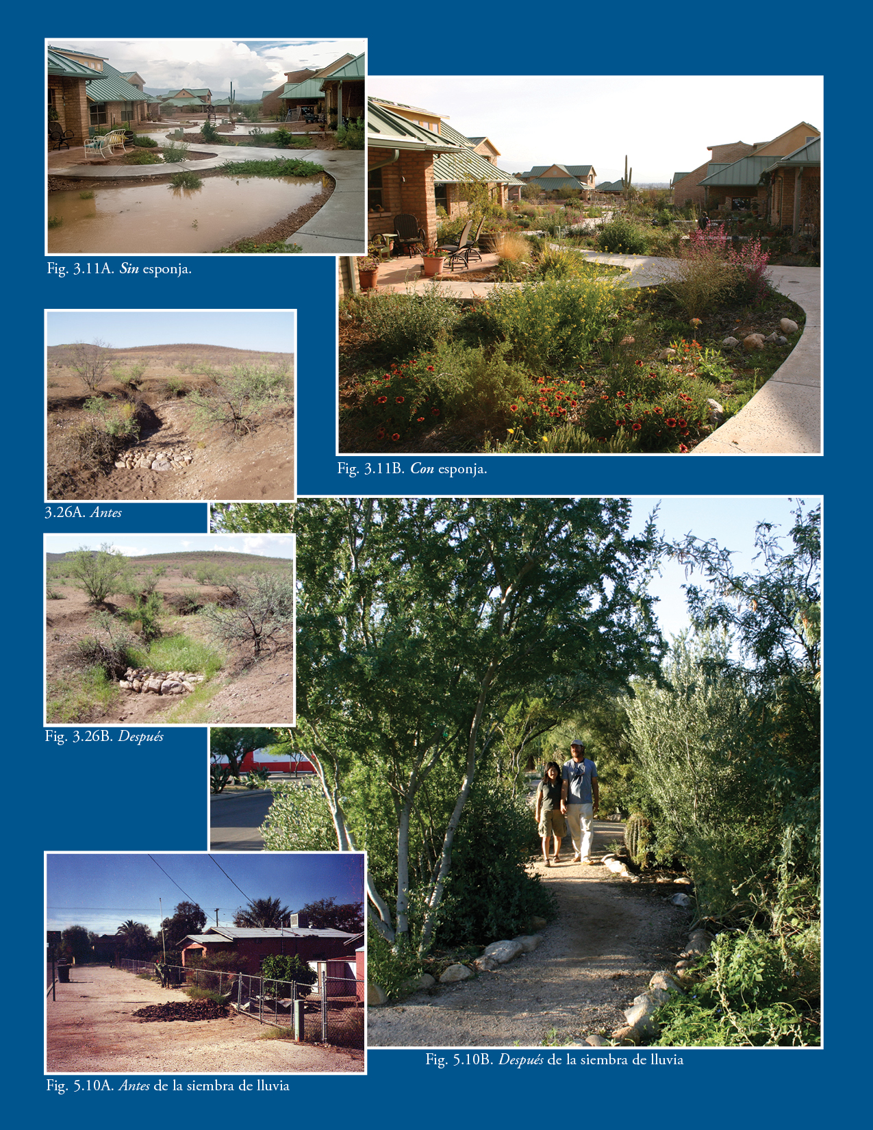 Cosecha de agua de lluvia para zonas áridas y más allá, Volumen 1 (NUEVO en 2025) — Directo del autor y firmado por él - Image 2